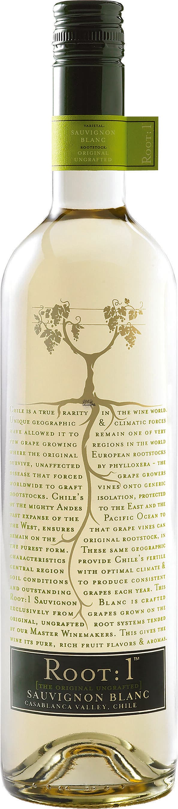 Root 1 CHILE - Sauvignon Blanc